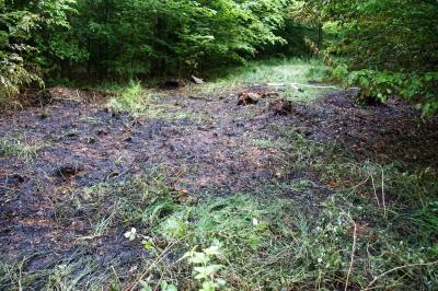 Esslingen-Liebersbronn: Beim Grillplatz an der Jaegerstrasse brannte der Wald